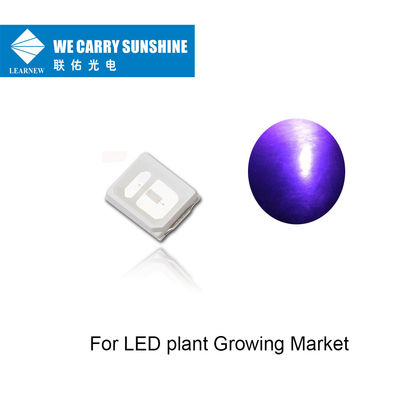 عمر طويل يقود UVA 395-405nm 150-200mW UV LED رقاقة لزراعة نبات LED