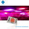 AC 110v 220v Cob 50w LED Chip 380-780nm دائرة 81S2P