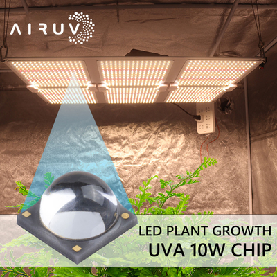 10W 365nm 385nm 395nm 6-7V Uva 3W رقائق الصمام لعلاج الأشعة فوق البنفسجية