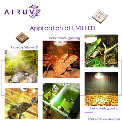 Uva Uvb UV LED Chip 3535 3838 2828 1616 1w 3w 10w 50w 100w 200w 300w LED UVc LED Chip