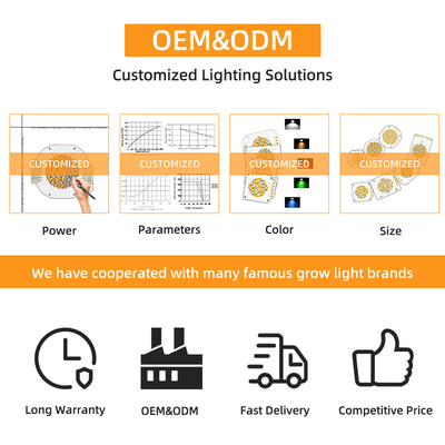 مصباح LED CCT COB قابل للتعديل 195-205V 2500K 6500K LED مزدوج اللون 300W + 300W رقائق LED CRI العالية 6060