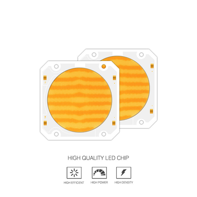 OEM ODM طول الموجة BI لون 205 فولت SMD LED رقاقة بيضاء دافئة + بيضاء 6060 SMD LED رقائق إصدار