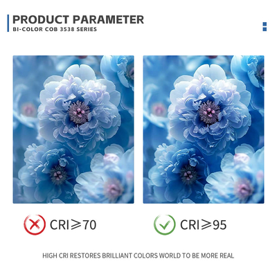 2700k 6500k CCT LED القابلة للتعديل COB 500W 200W طاقة عالية Ra95 Ra97 COB LED Chip لمصباح التصوير الفوتوغرافي