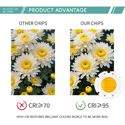 R61 60X60MM LED Chip White 200W+200W مصباح ضوئي LED SMD
