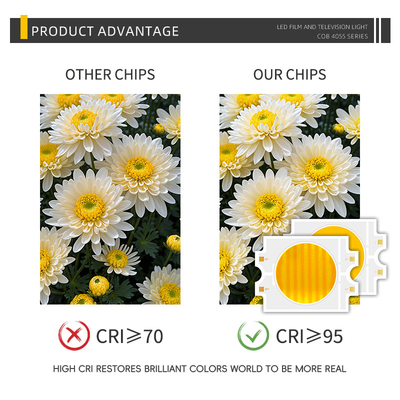 مصباح طاقة مخصص 300 واط ذو لونين دافئ + بارد أبيض 4055 ذو لونين CCT CRI95 COB LED Chip