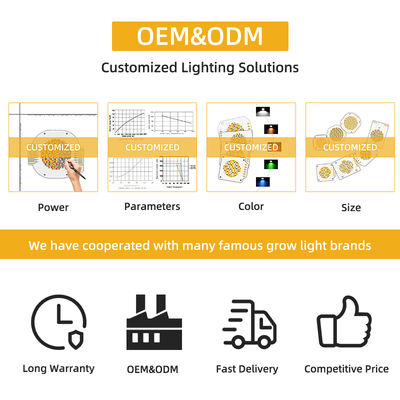 57 فولت مصدر ضوء COB 150 واط 200 واط جهد ثابت أبيض دافئ لونين اختياري دعم البيع بالجملة