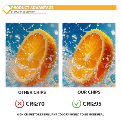 رقاقة COB مخصصة من مادة الألومنيوم 2424 باللون الأبيض والأزرق والأحمر والأخضر، سطوع عالي، مصنع في الصين