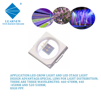 1W SMD 3030 440nm 450nm 460nm 470nm LED Blue Growlights رقاقة سلك ذهب نقي EPILED 35mil رقائق 300mA 3.0-3.4V ديودات PPE عالية