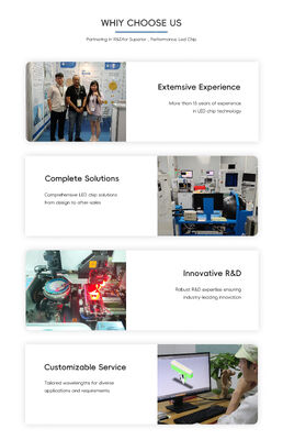 LED UVA متقدم بقوة 10 واط بتردد 365 نانومتر و 385 نانومتر و 395 نانومتر، SMD6868، لومن عالي، 6.0-7.0 فولت، ضوء الأشعة فوق البنفسجية لنمو النباتات في البيوت الزجاجية والمعالجة بالأشعة فوق البنفسجية