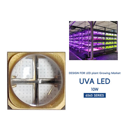 خرزة مصباح LED فوق بنفسجي UVA SMD6868 شريحة LED R5.0MM 365 نانومتر 385 نانومتر 395 نانومتر 10 وات مصنع مباشر لطابعة ثلاثية الأبعاد لنمو النباتات والتطهير