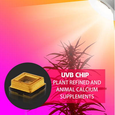 شريحة UVB 3W بقوة 315 نانومتر بسعر المصنع 3535 LED Diode SMD 311 نانومتر 500mA مصباح تسمير LED Diode SMD 306 نانومتر 295 نانومتر 110 ميجاوات