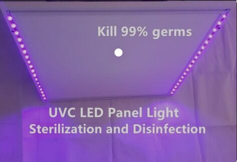 1W 225nm UVC التقاط 233.8nm Led الطاقة البصرية 2-3mW 6-8V 150mA SMD 3.8mm UV-C LEDs Diode 60° Dome Lens