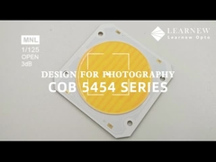 5454 رقاقة درجة حرارة ملونة مزدوجة