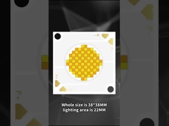 3838 LED COB مزدوج اللون